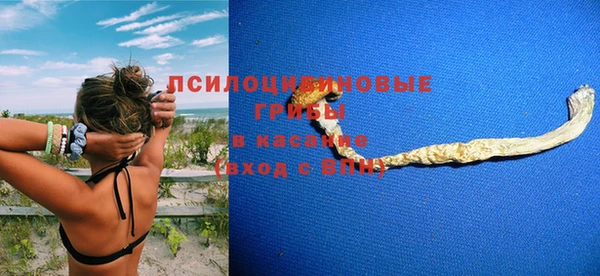 СК Армянск
