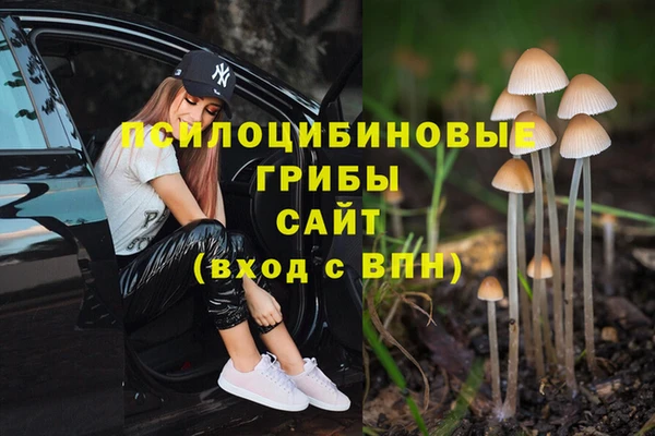 Альфа ПВП Арсеньев