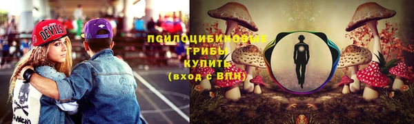 соль ск Аркадак