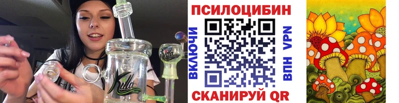 Галлюциногенные грибы GOLDEN TEACHER  Купить закладки  Пионерский 
